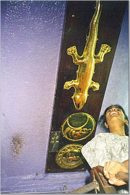 kanchipuram_lizard.jpg