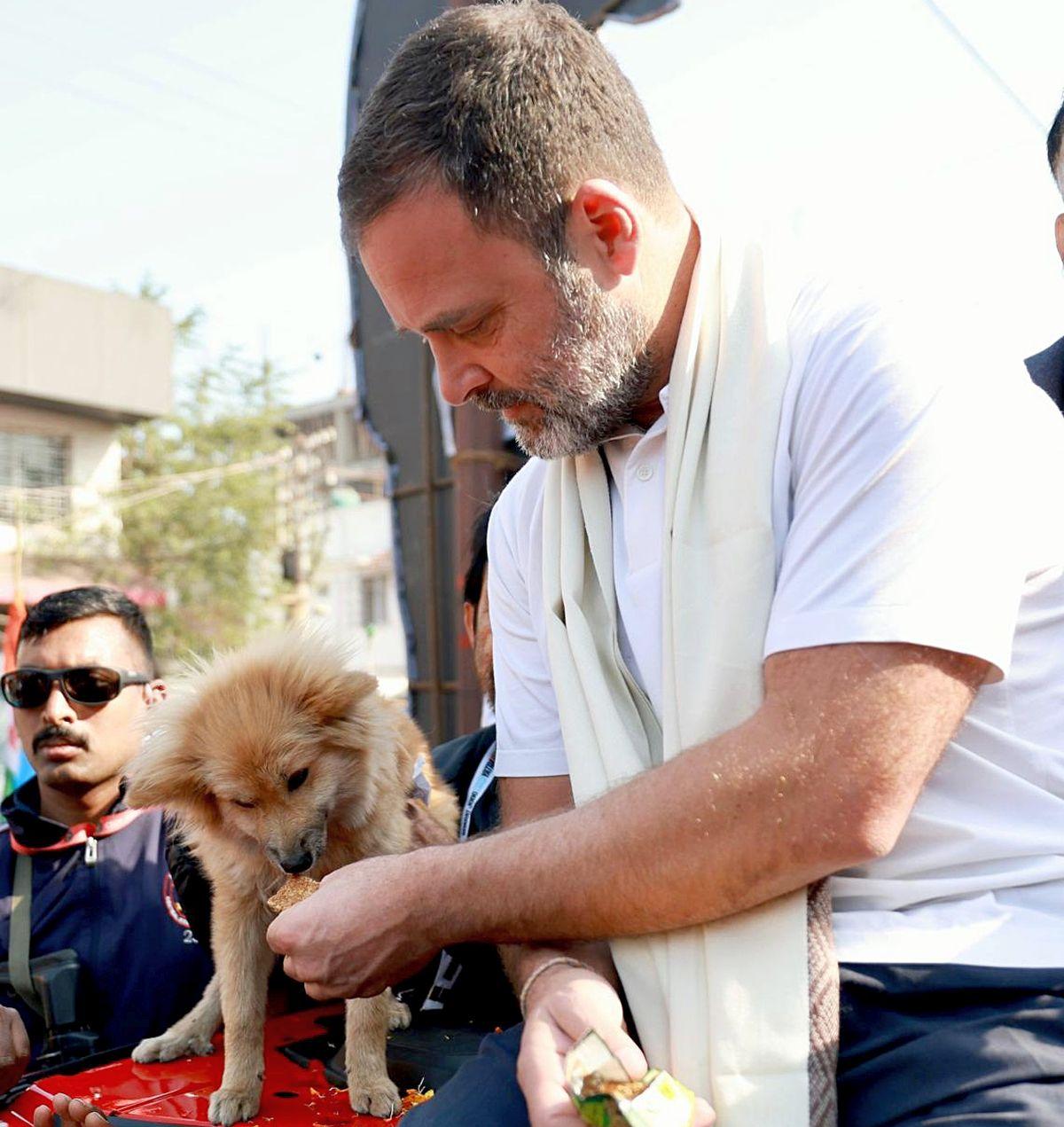 06rahul-gandhi-dog.jpg