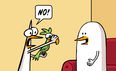 288-lottery-parrot-9b0003.png