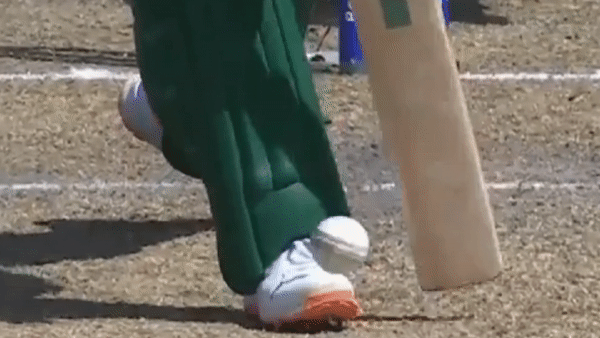 ezgif-4-2374da1fc6.gif