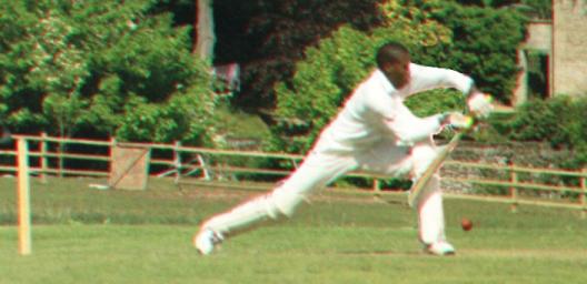 Cricket_forward_defensive.jpg