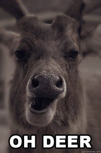 353a28.jpg