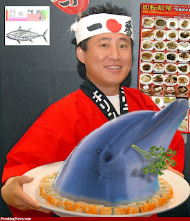 Dolphin-Sushi-36648.jpg