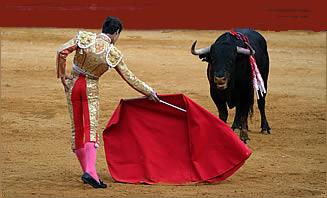 BULL-FIGHTING-BAN.jpg