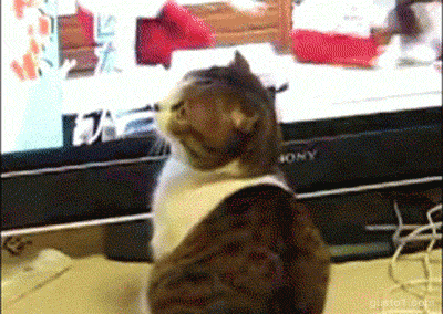 tumblr_m210fp4pHE1qa5rnho3_400.gif