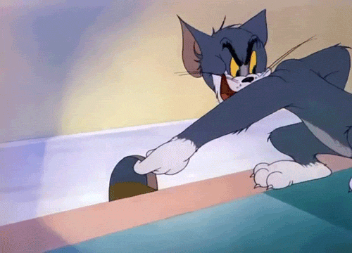 giphy.gif
