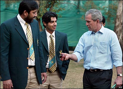 Bush%20cricket1.jpg