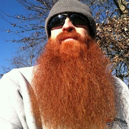 fb6cecfefa5162899251ffeaff74cd43--red-beard-ginger-beard.jpg