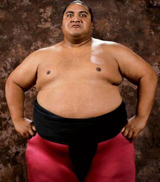 Yokozuna01.jpg
