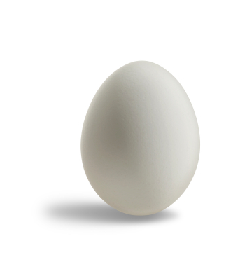 eggs.png