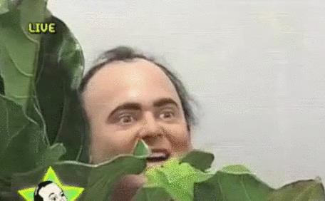 tumblr_onuc7yLjTv1vmu37oo1_500.gif