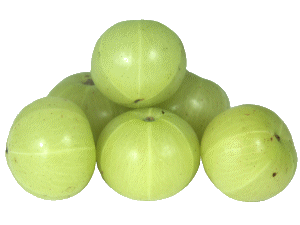 Fresh-Amla-Big.gif