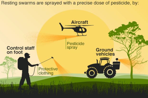 _112479416_locust_control_v2_640.png