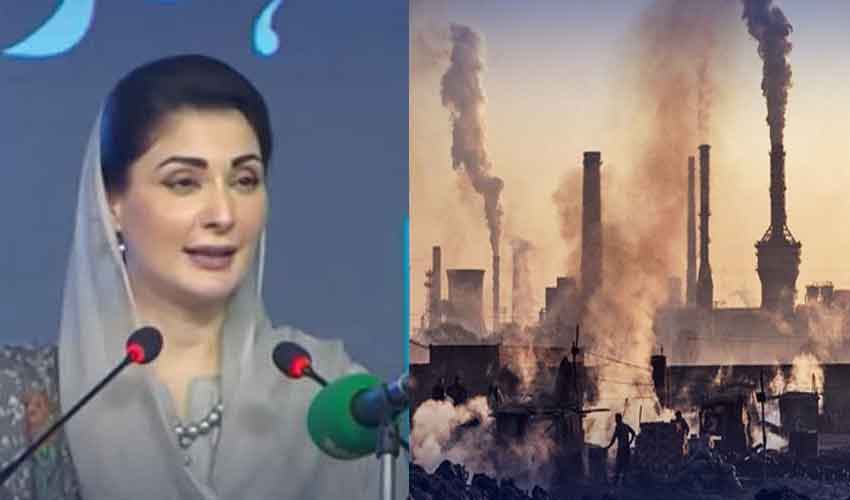 www.samaa.tv