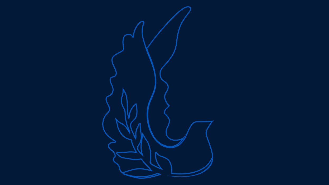 giwps.georgetown.edu