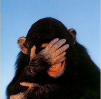 embarrassed-chimp-2.jpeg