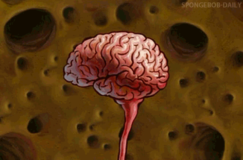 tumblr_inline_ngp32gXykC1snb97j.gif