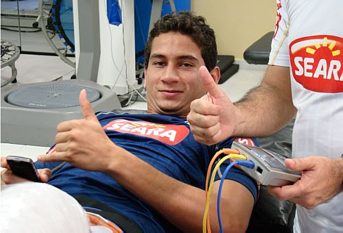 ganso1.JPG