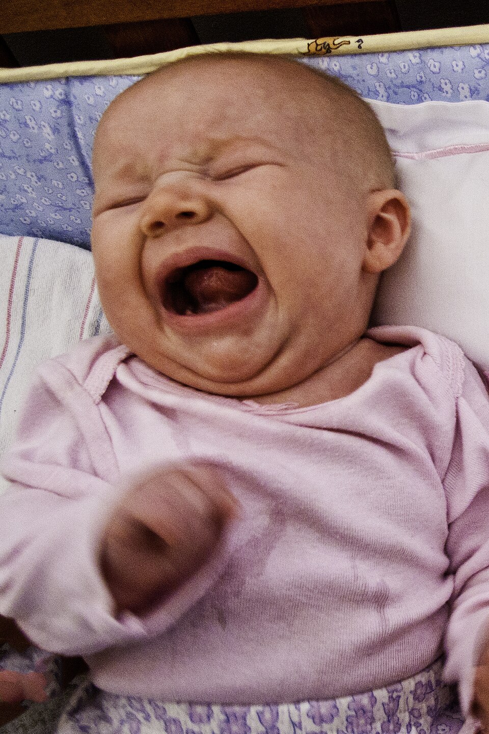 960px-Baby_yelling.jpg