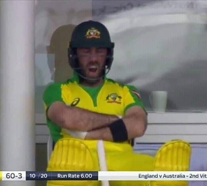 sxbfbxyxnjl51.jpg