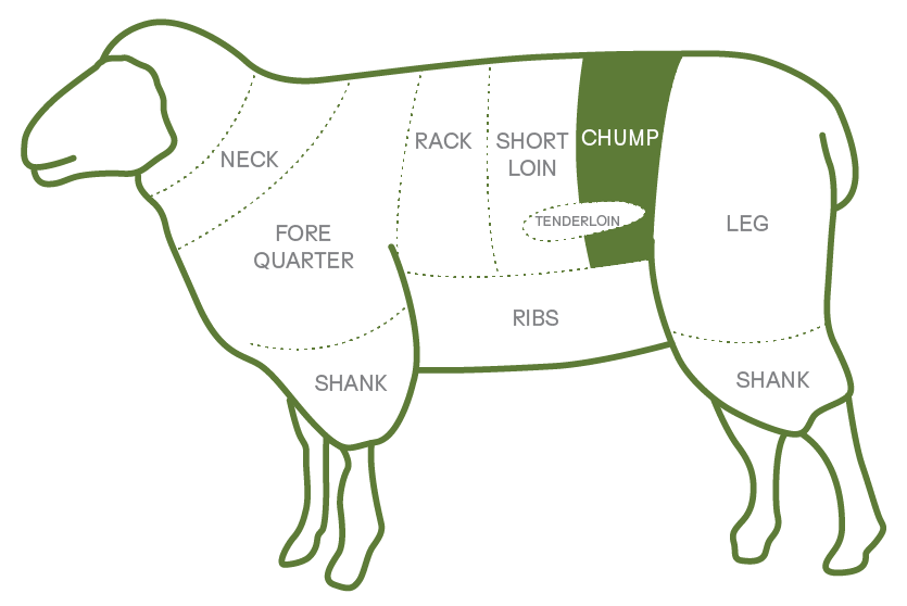 Protein%20cutchart%20assets%20V1-04.png
